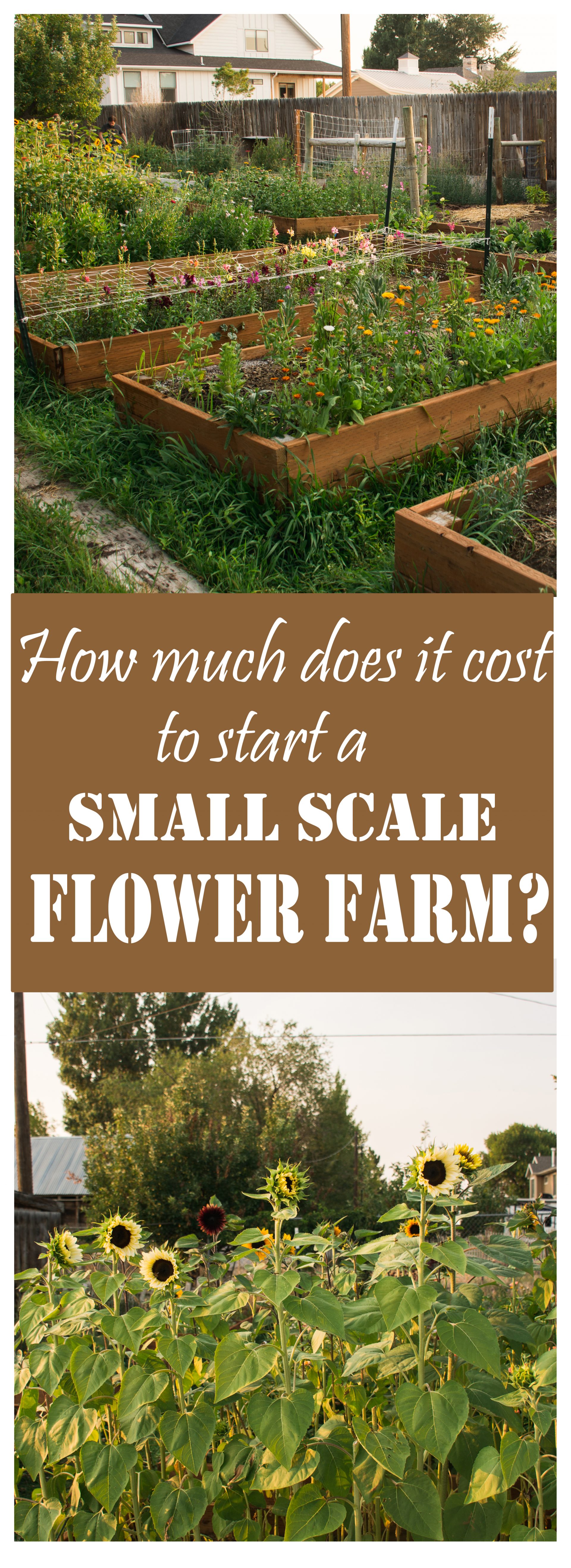 How Much Does It Cost to Start a (Small) Flower Farm? I Dream of Acres