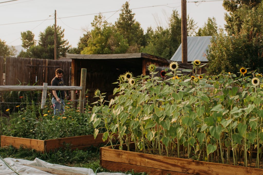 Floret Flowers - We are a small family farm in Washington's Skagit Valley