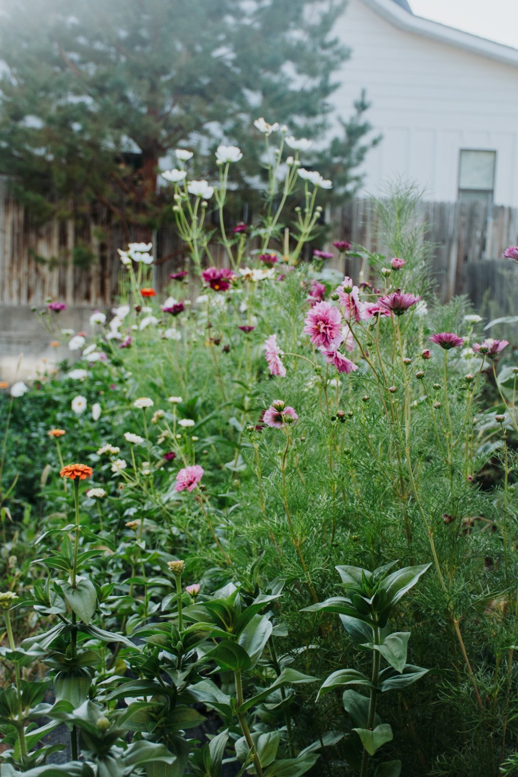 How to Start a Small Flower Farm [Part III]: Marketing + Building a ...