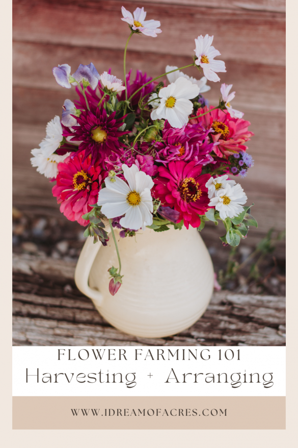 How to Start a Small Flower Farm [Part IV]: Harvesting + Arranging - I ...