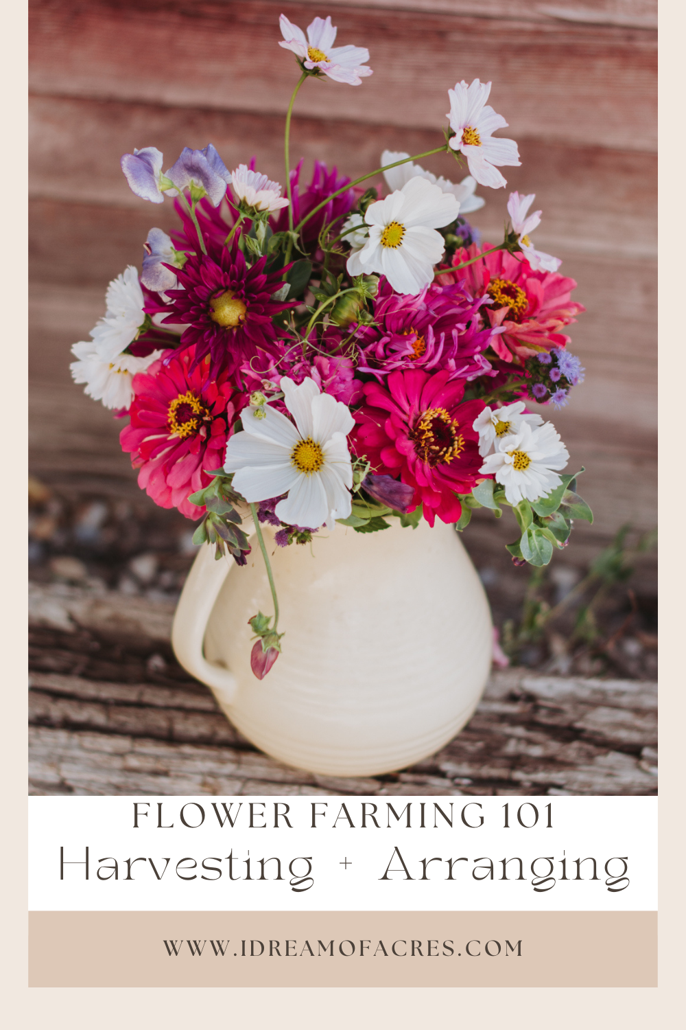 How to Start a Small Flower Farm [Part IV]: Harvesting + Arranging - I ...